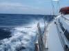segelpartner2.jpg