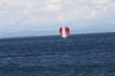 Internationale-BODENSEEWOCHE-2010-Konstanz-300510-Bodensee-Community-seechat_de-IMG_0797.JPG