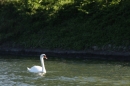 60te-RUNDUM-2010-Lindau-040610-Bodensee-Community-seechat_deIMG_1354.JPG