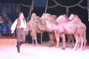 Circus-Carl-Busch-Ravensburg-090610-Bodensee-Community-seechat_de-IMG_2086.JPG