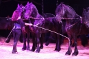 Circus-Carl-Busch-Ravensburg-090610-Bodensee-Community-seechat_de-IMG_2169.JPG