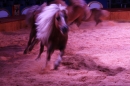 Circus-Carl-Busch-Ravensburg-090610-Bodensee-Community-seechat_de-IMG_2198.JPG