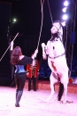 Circus-Carl-Busch-Ravensburg-090610-Bodensee-Community-seechat_de-IMG_2207.JPG