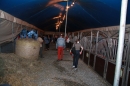 Circus-Carl-Busch-Ravensburg-090610-Bodensee-Community-seechat_de-IMG_2306.JPG