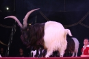 Circus-Carl-Busch-Ravensburg-090610-Bodensee-Community-seechat_de-IMG_2396.JPG
