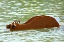 Seehafenfliegen_Lindau-2010_seechat_dePICT0233.JPG