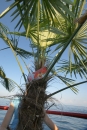 Lemon-House-Boat-2010_seechat_deDSC04906.JPG