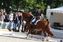 CHI-Donaueschingen-2010-Reitturnier-190910-Bodensee-Community-seechat_de-IMG_2144.JPG