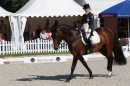 CHI-Donaueschingen-2010-Reitturnier-190910-Bodensee-Community-seechat_de-IMG_2230.JPG