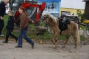 Reitstall-Forster-Steisslingen-Wiechs-10102010-Bodensee-Community-seechat_de-_17.JPG