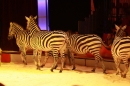 Weihnachtscircus-Ravensburg-2010-Radio7-Drachenkinder-221210-seechat_de-IMG_5234.JPG