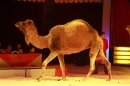 Weihnachtscircus-Ravensburg-2010-Radio7-Drachenkinder-221210-seechat_de-IMG_5237.JPG