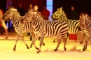 Weihnachtscircus-Ravensburg-2010-Radio7-Drachenkinder-221210-seechat_de-IMG_5243.JPG