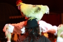 Weihnachtscircus-Ravensburg-2010-Radio7-Drachenkinder-221210-seechat_de-IMG_5690.JPG