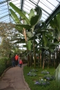 Wilhelma-Zoo-Stuttgart-050211-Bodensee-Community-seechat_de-IMG_8476.JPG