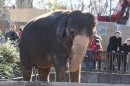 Wilhelma-Zoo-Stuttgart-050211-Bodensee-Community-seechat_de-IMG_8748.JPG