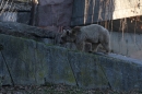Wilhelma-Zoo-Stuttgart-050211-Bodensee-Community-seechat_de-IMG_8915.JPG