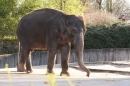 Wilhelma-Zoo-Stuttgart-050211-Bodensee-Community-seechat_de-IMG_8943.JPG