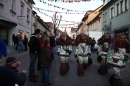 Fasnet-Tettnanger_Feuerhexen_Jubilaeumsumzug-Tettnang-050211-seechat_de-IMG_4208.JPG