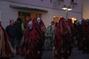 Fasnet-Tettnanger_Feuerhexen_Jubilaeumsumzug-Tettnang-050211-seechat_de-IMG_4258.JPG