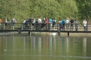 Affenberg-Salem-23042011-Bodensee-Community-SEECHAT_DE-_05.JPG