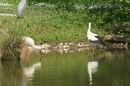 Affenberg-Salem-23042011-Bodensee-Community-SEECHAT_DE-_06.JPG