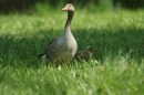 Affenberg-Salem-23042011-Bodensee-Community-SEECHAT_DE-_16.JPG