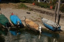 Ausflugsfahrt-Radolfzell-Reichenau-250411-Bodensee-Community_SEECHAT_DE-IMG_4826.JPG