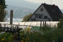 Ausflugsfahrt-Radolfzell-Reichenau-250411-Bodensee-Community_SEECHAT_DE-IMG_4870.JPG