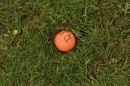SwingGolf-Opfenbach-Mywiler-Bodensee-Community-14052011-SEECHAT_DE-IMG_6449.JPG