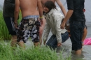 SeaofLove-Tunisee-170711-Bodensee-Community-seechat_de-DSC01440.JPG