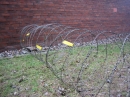 Tag-der-offen-Tuer-Bundeswehr-Sigmaringen-23072011-Bodensee-Community-seechat_de-_30.JPG