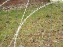 Tag-der-offen-Tuer-Bundeswehr-Sigmaringen-23072011-Bodensee-Community-seechat_de-_31.JPG