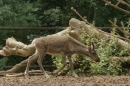 Zoo-Basel-090811-Bodensee-Community-SEECHAT_DE-DSC06044.JPG