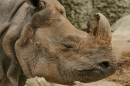 Zoo-Basel-090811-Bodensee-Community-SEECHAT_DE-DSC06075.JPG