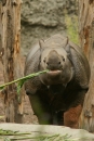 Zoo-Basel-090811-Bodensee-Community-SEECHAT_DE-DSC06097.JPG