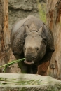 Zoo-Basel-090811-Bodensee-Community-SEECHAT_DE-DSC06098.JPG