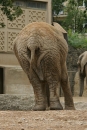 Zoo-Basel-090811-Bodensee-Community-SEECHAT_DE-DSC06197.JPG