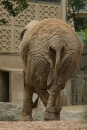 Zoo-Basel-090811-Bodensee-Community-SEECHAT_DE-DSC06200.JPG