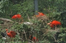 Zoo-Basel-090811-Bodensee-Community-SEECHAT_DE-DSC06210.JPG