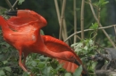 Zoo-Basel-090811-Bodensee-Community-SEECHAT_DE-DSC06213.JPG