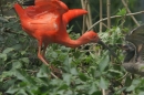 Zoo-Basel-090811-Bodensee-Community-SEECHAT_DE-DSC06214.JPG