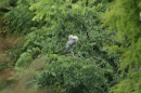 Zoo-Basel-090811-Bodensee-Community-SEECHAT_DE-DSC06224.JPG