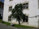 Schloss-Salem-12082011-Bodensee-Community-seechat_de-_20.JPG
