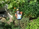 Schloss-Salem-12082011-Bodensee-Community-seechat_de-_24.JPG