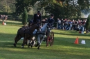 CHI-Reitturnier-2011-Donaueschingen-250911-Bodensee-Community-SEECHAT_DE-IMG_8181.JPG