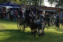 CHI-Reitturnier-2011-Donaueschingen-250911-Bodensee-Community-SEECHAT_DE-IMG_8183.JPG