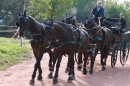 CHI-Reitturnier-2011-Donaueschingen-250911-Bodensee-Community-SEECHAT_DE-IMG_8240.JPG