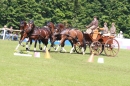 CHI-Reitturnier-2011-Donaueschingen-250911-Bodensee-Community-SEECHAT_DE-IMG_8698.JPG