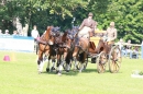 CHI-Reitturnier-2011-Donaueschingen-250911-Bodensee-Community-SEECHAT_DE-IMG_8699.JPG